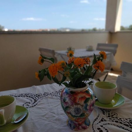 La Casa Dei Fenicotteri Bed & Breakfast Olbia Exterior photo